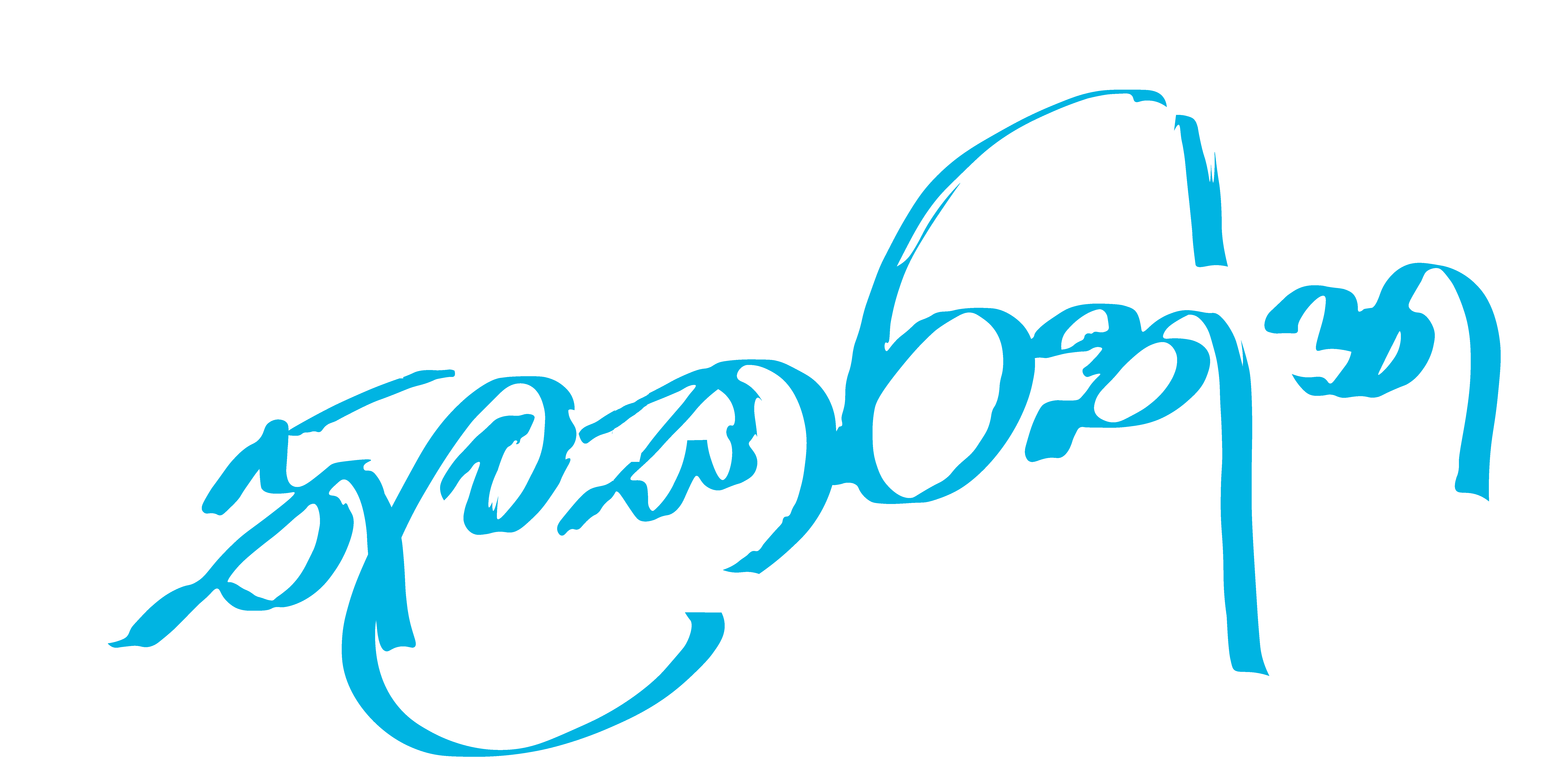 AdhiApi Logo